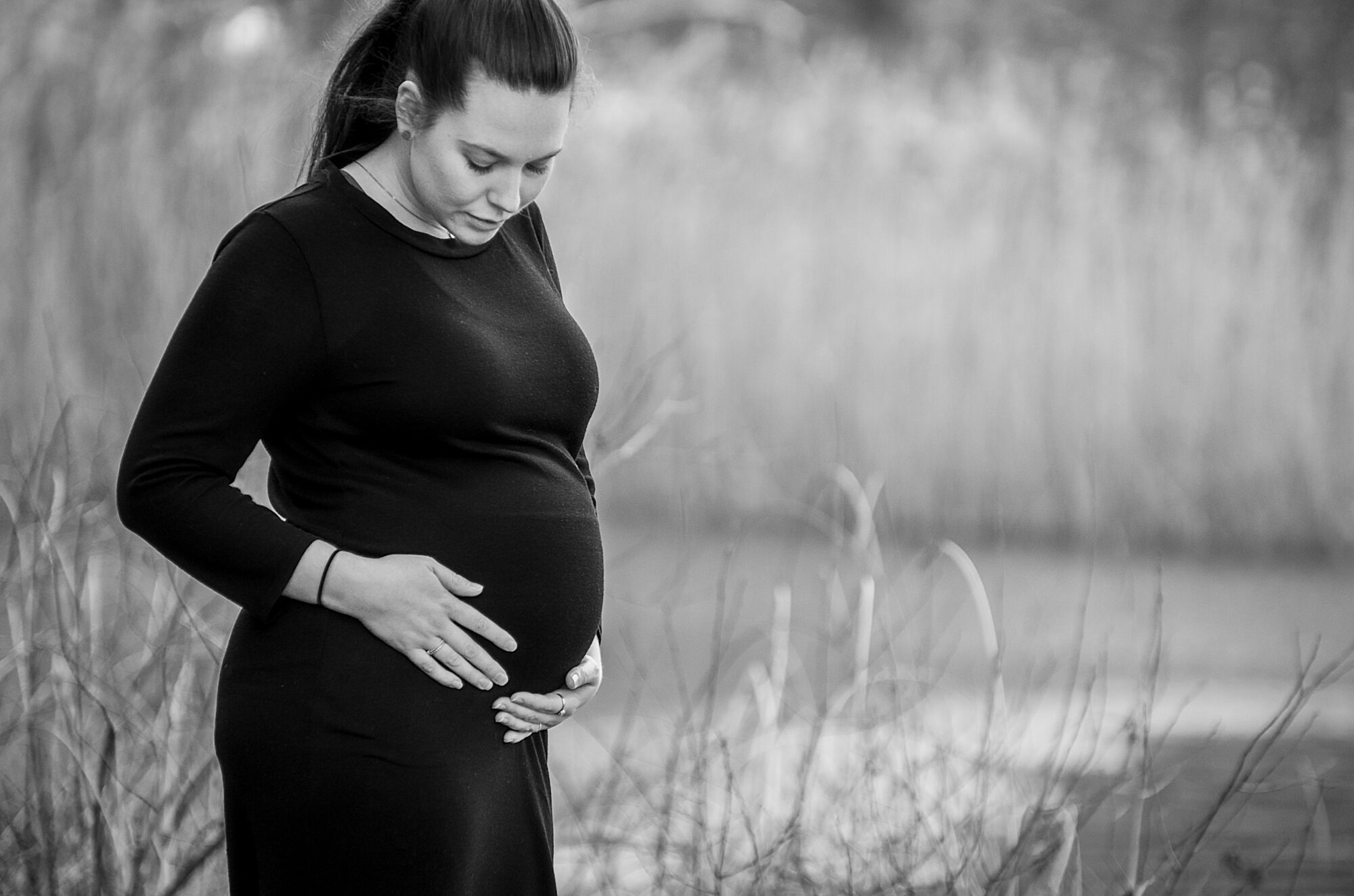 Gravid J 5
